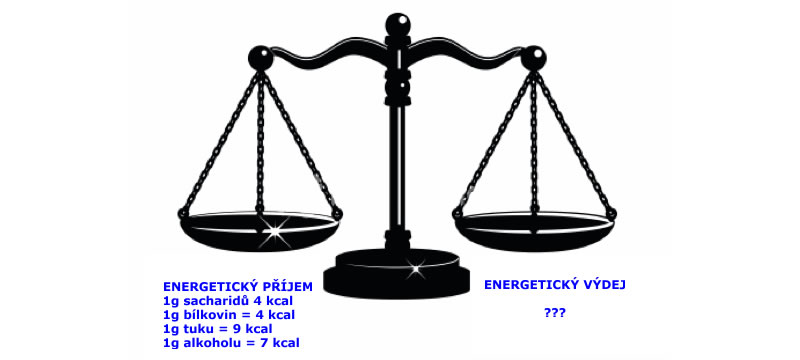 energetická bilance
