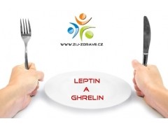 HORMONY A OBEZITA – 2. ČÁST