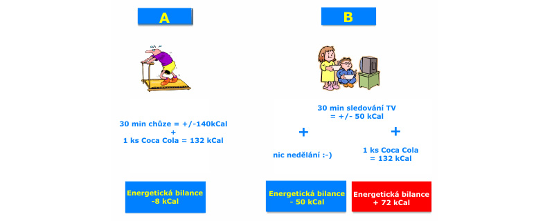 porovnání energetické bilance