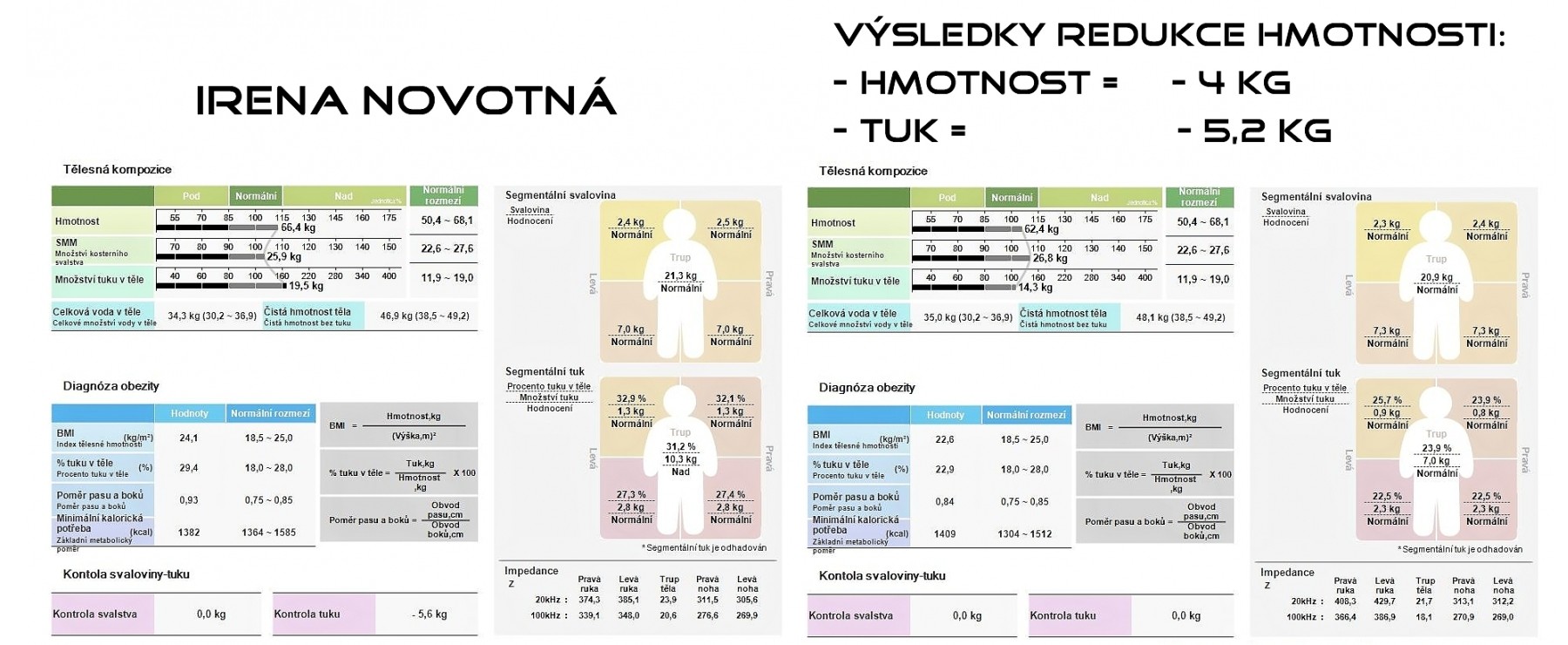 Irena Novotná - výsledky